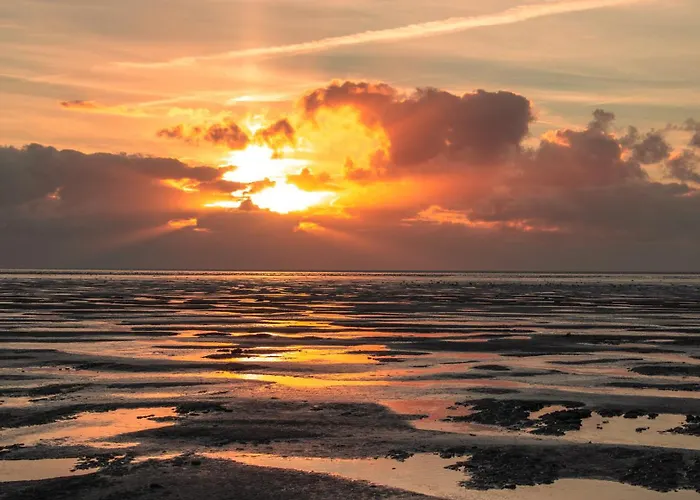 Wad & Loft Unieke Paalwoning Vlakbij De Waddenzee